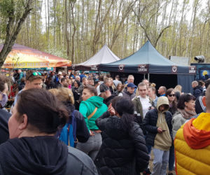 Festiwal Smaków Food Trucków w Olsztynie. Tłumy mieszkańców nad Ukielem [ZDJĘCIA]