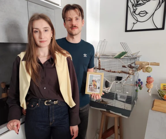 Brutalna egzekucja papugi, śrut rozerwał małe ciałko