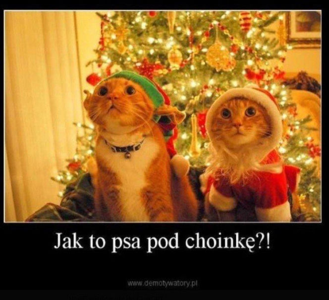 Memy na Boże Narodzenie