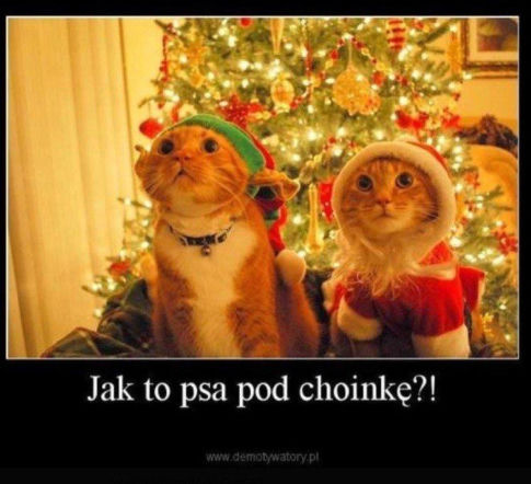 Memy na Boże Narodzenie
