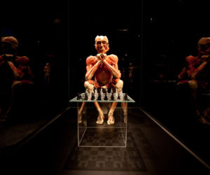 BODY WORLDS w Katowicach