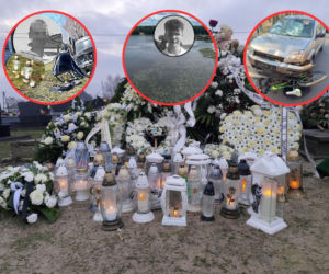 Te historie wyciskały łzy w 2025 roku. Bezsensowna śmierć, cierpienie zwierząt i niewytłumaczalna zbrodnia