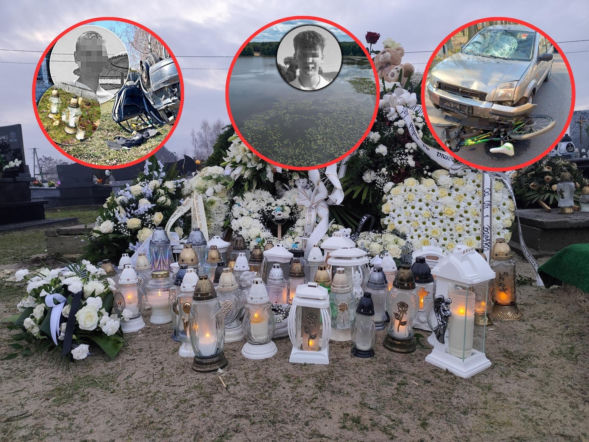 Te historie wyciskały łzy w 2025 roku. Bezsensowna śmierć, cierpienie zwierząt i niewytłumaczalna zbrodnia