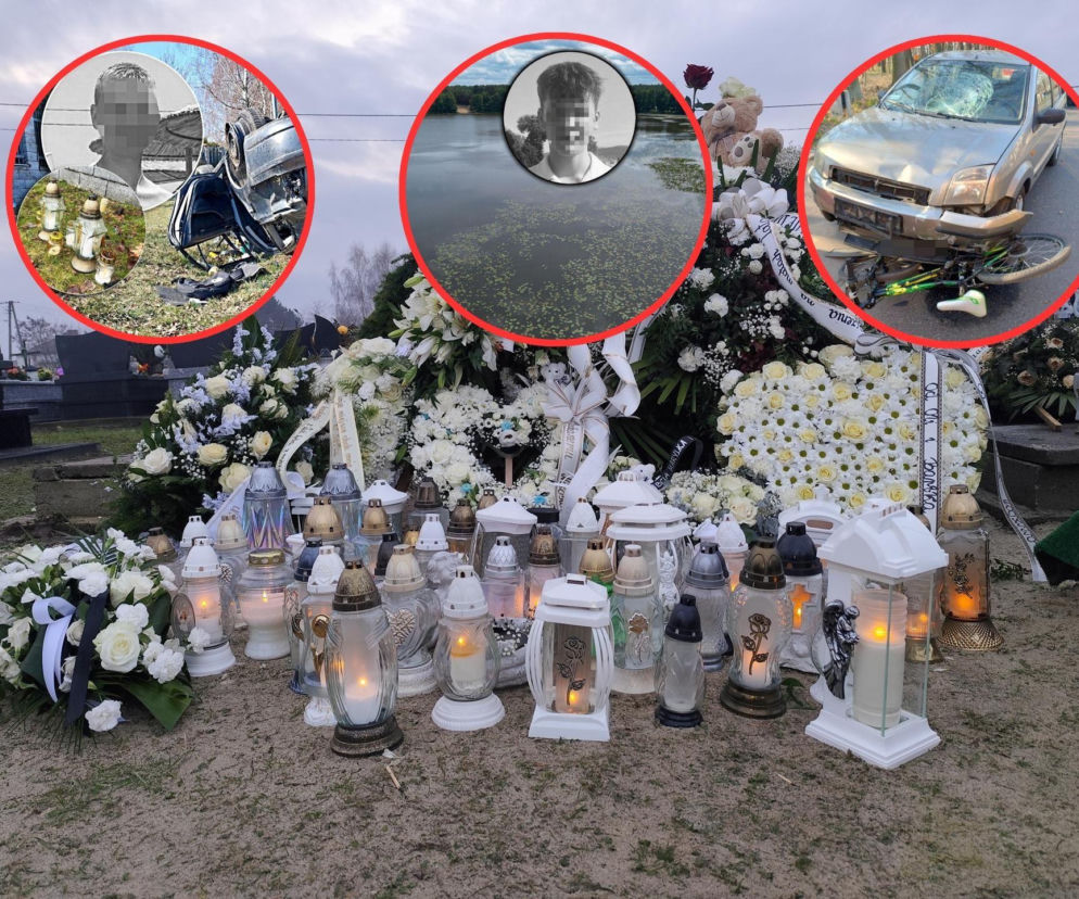 Te historie wyciskały łzy w 2025 roku. Bezsensowna śmierć, cierpienie zwierząt i niewytłumaczalna zbrodnia