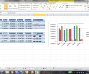 Microsoft Office 2010 PL - polski Excel 2010