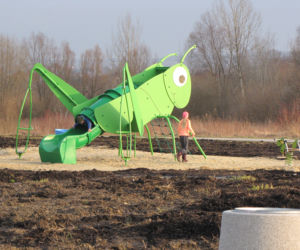 Na osiedlu Zwięczyca w Rzeszowie pojawił się gigantyczny świerszcz