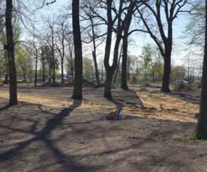 Od dziś otwarte lasy i parki. Ale parki Heermanna i Jonstona wciąż ogrodzone