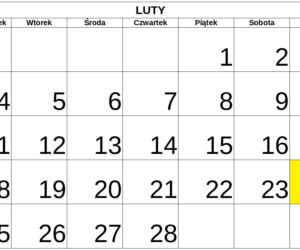 Niedziele handlowe 2019 - LUTY