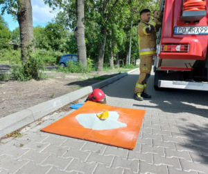 Kaczuszki wpadły do studzienki w Lesznie. Wyciągnęli je strażacy