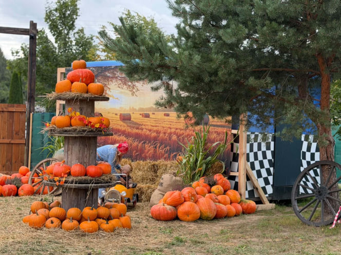Farma Sołtysa w Wąchocku już otwarta. Nowa atrakcja dla rodzin przyciągnęła pierwszych gości