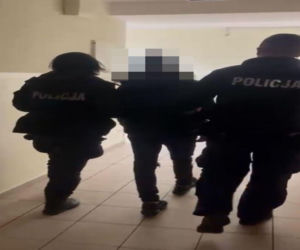 Horror w Ostrowie. Nastolatkowie pobili 13-letnią koleżankę w lesie i spryskali gazem. Potem upokorzyli