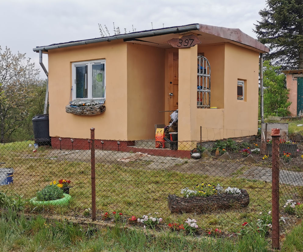 Kwarantanna na działce