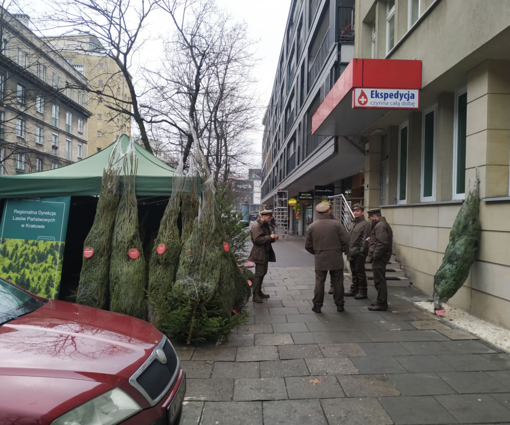Przyjdź oddać krew i wróć do domu z świeżutką choinką