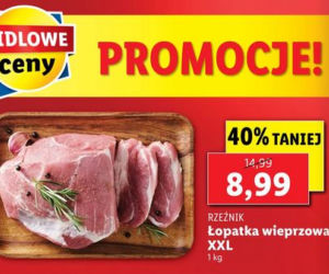 Mega promocje w Lidlu