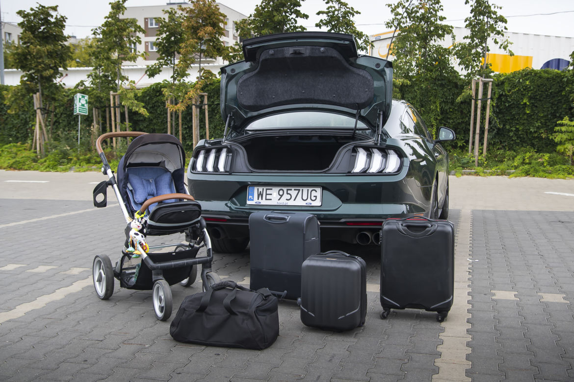 Ford Mustang Bullitt 5.0 V8 6MT