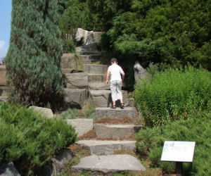 Ogród Botaniczny w Łodzi
