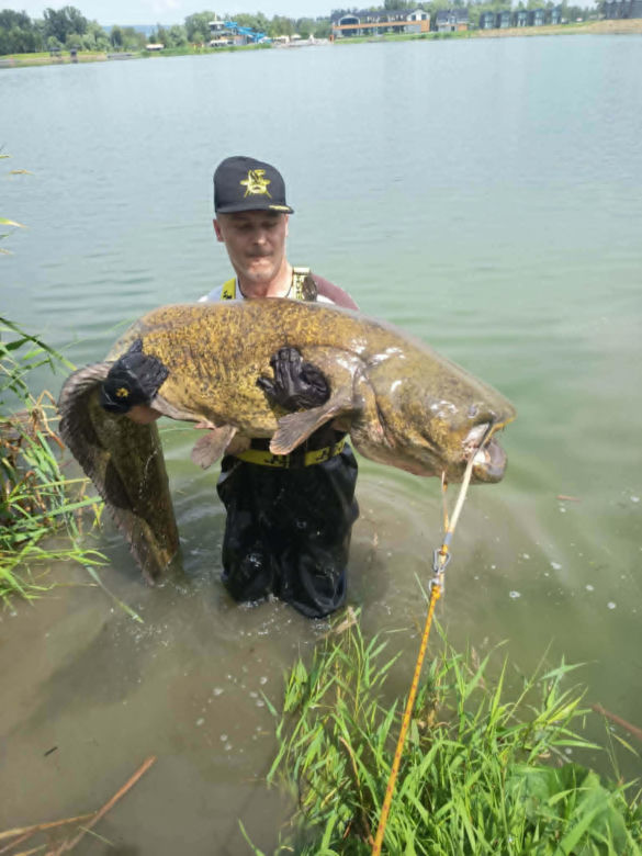 Złowił w Starym Sączu ponad 230 cm suma