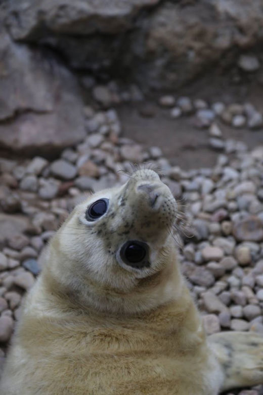 Oceanografia