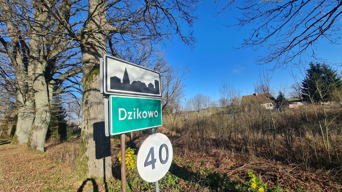 Dawid to człowiek-demolka. Wybijał szyby w samochodach i budynkach