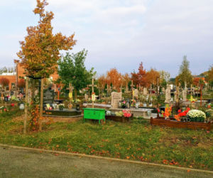 Cmentarz Zachodni w Szczecinie