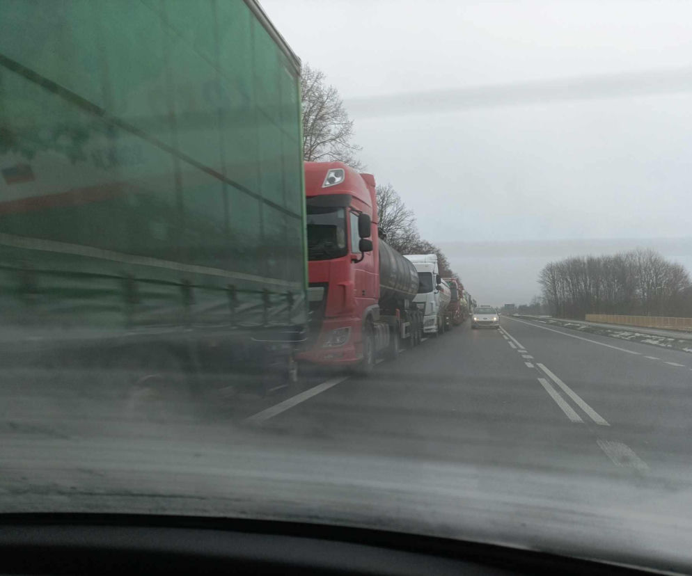 Długa kolejka ciężarówek na poboczu drogi prowadzącej do granicy. O utrudnieniach w odprawach przeczytasz na SE Lublin.