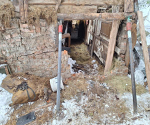 Dach stodoły runął pod naporem śniegu. W środku były zwierzęta