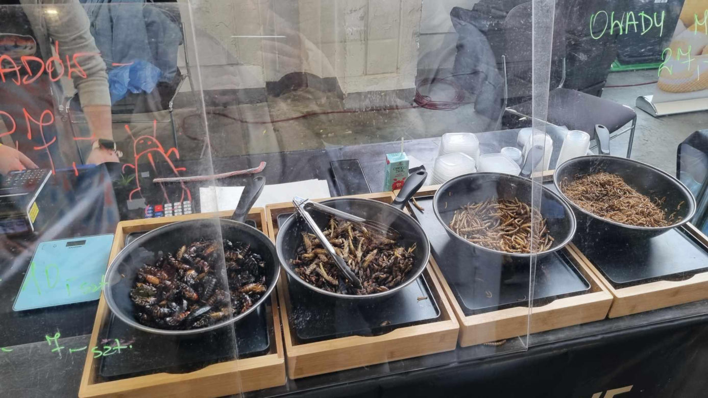 Targi Exotic Fest odbyły się w Poznaniu