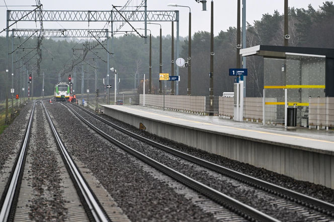 PILNE! Tusk ujawnia: dwóch Ukraińców współpracujących z Rosją stało za dywersją na kolei. „Celem była katastrofa”