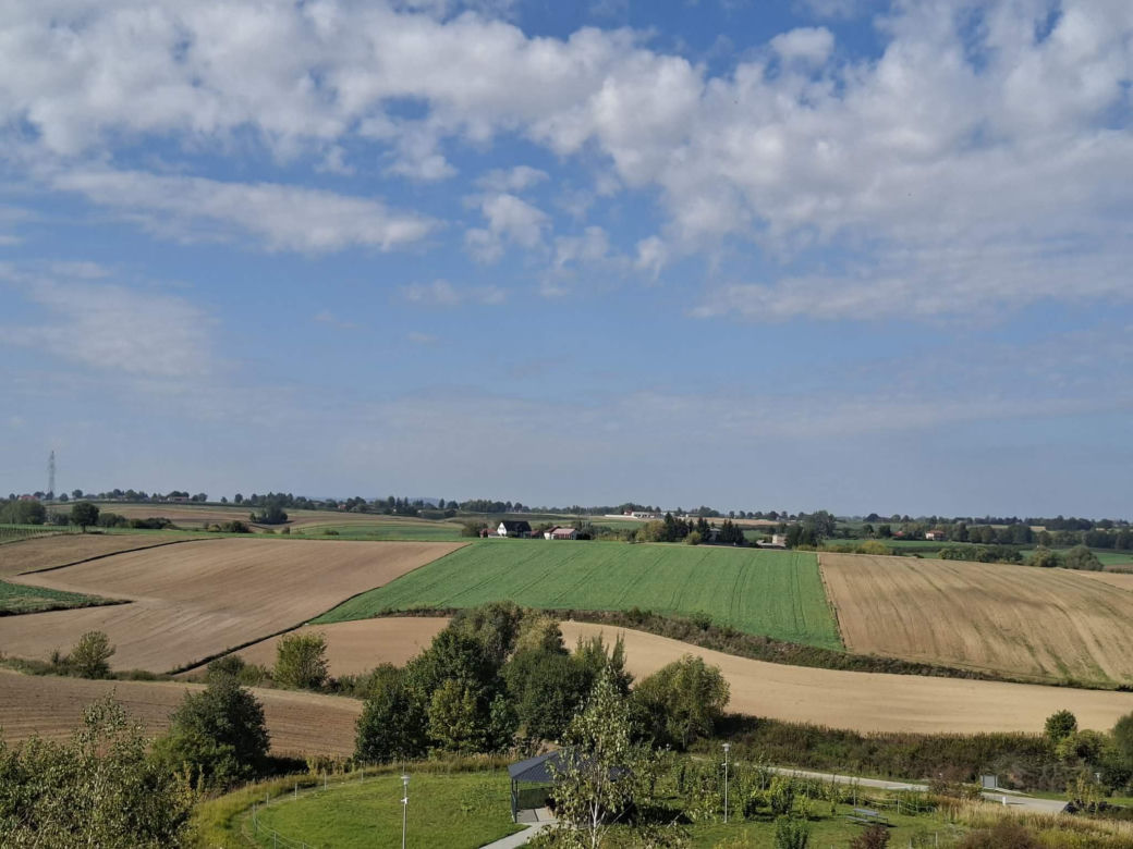 Wieża widokowa w Karwowie