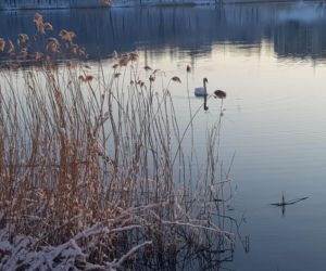 Olsztyn: W ostatni dzień marca spadł śnieg
