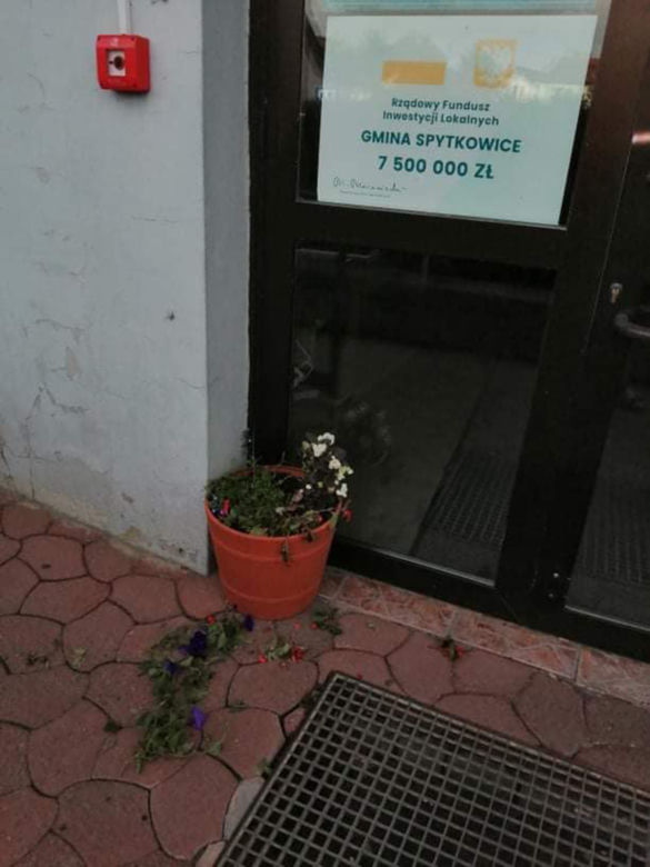Bocian bandyta gnębi urzędników