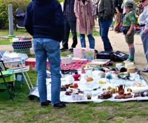 Pchli targ na Pogodnie