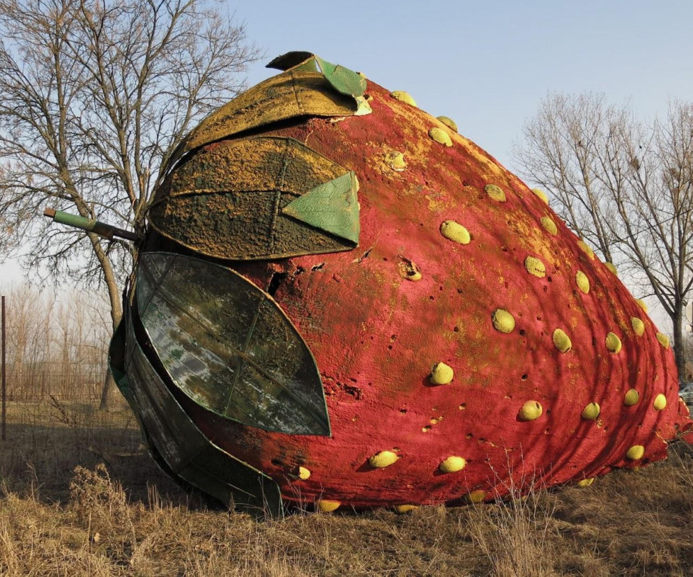 Gigantyczna truskawka pod Warszawą