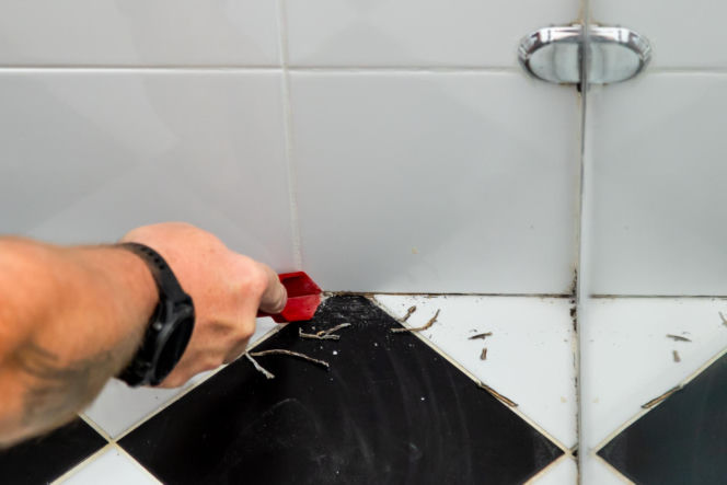 Jak poprawnie usunąć starą fugę i silikon oraz nałożyć nowy? Murator Remontuje