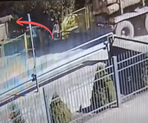 Potężna kłoda drewna runęła przed wejście do szkoły. Kierowca ciężarówki nawet tego nie zauważył