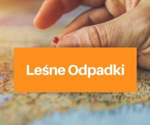 TOP 20 najzabawniejszych nazw miejscowości w Polsce. Uśmiejesz się do łez! [GALERIA]