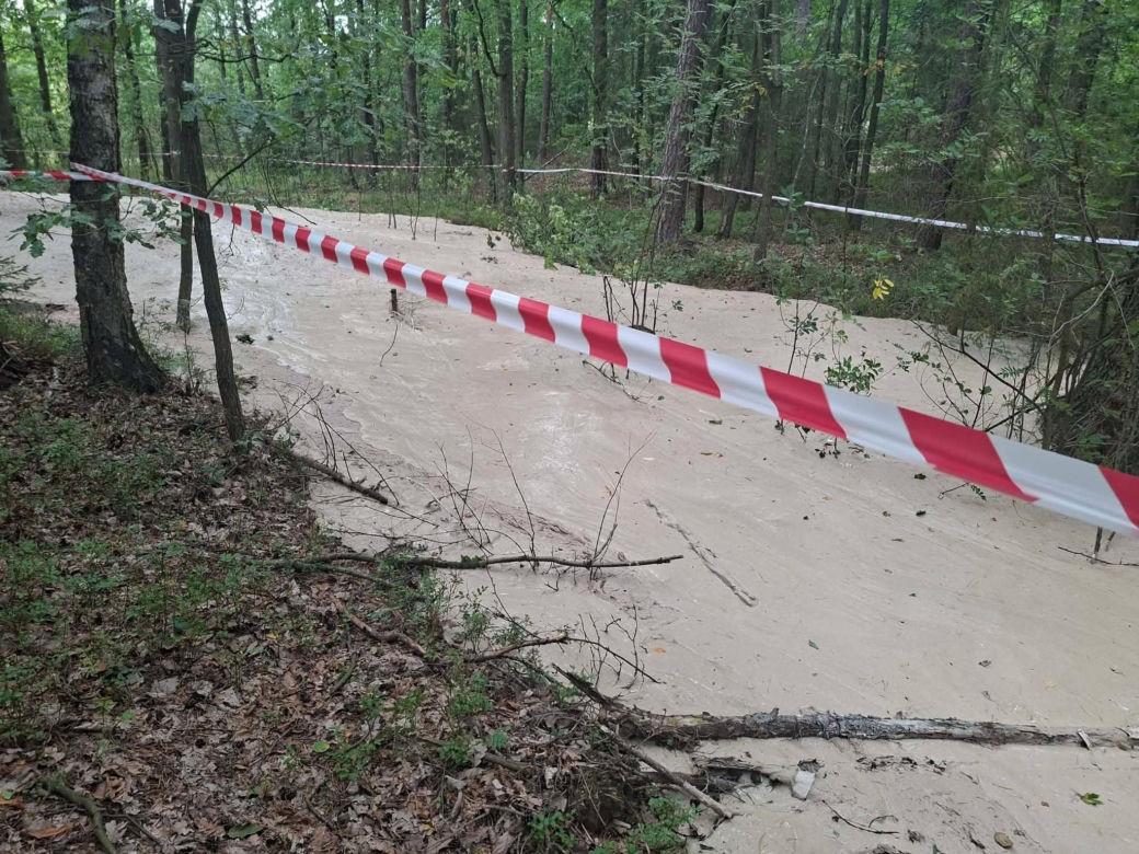 Tajemnicza maź zalała las pod Starachowicami. Policja i leśnicy badają sprawę