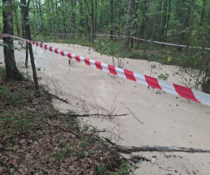Tajemnicza maź zalała las pod Starachowicami. Policja i leśnicy badają sprawę