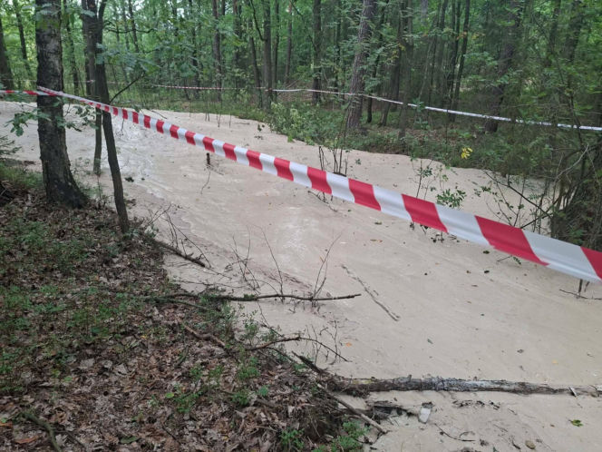Tajemnicza maź zalała las pod Starachowicami. Policja i leśnicy badają sprawę