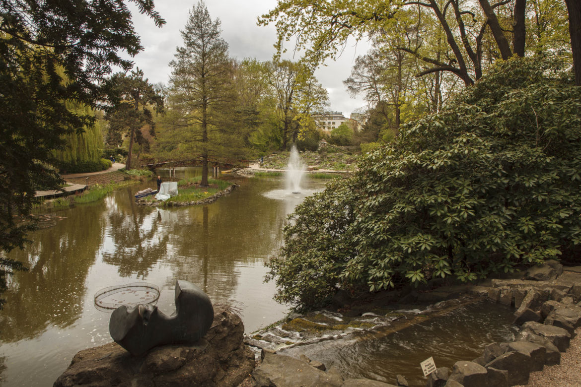 Dinozaury opanowały wrocławski ogród botaniczny