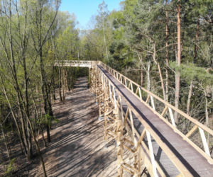 Poznań: Ścieżka w koronach drzew - te zdjęcia robią wrażenie