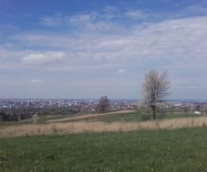 Miejsca na randkę w Rzeszowie