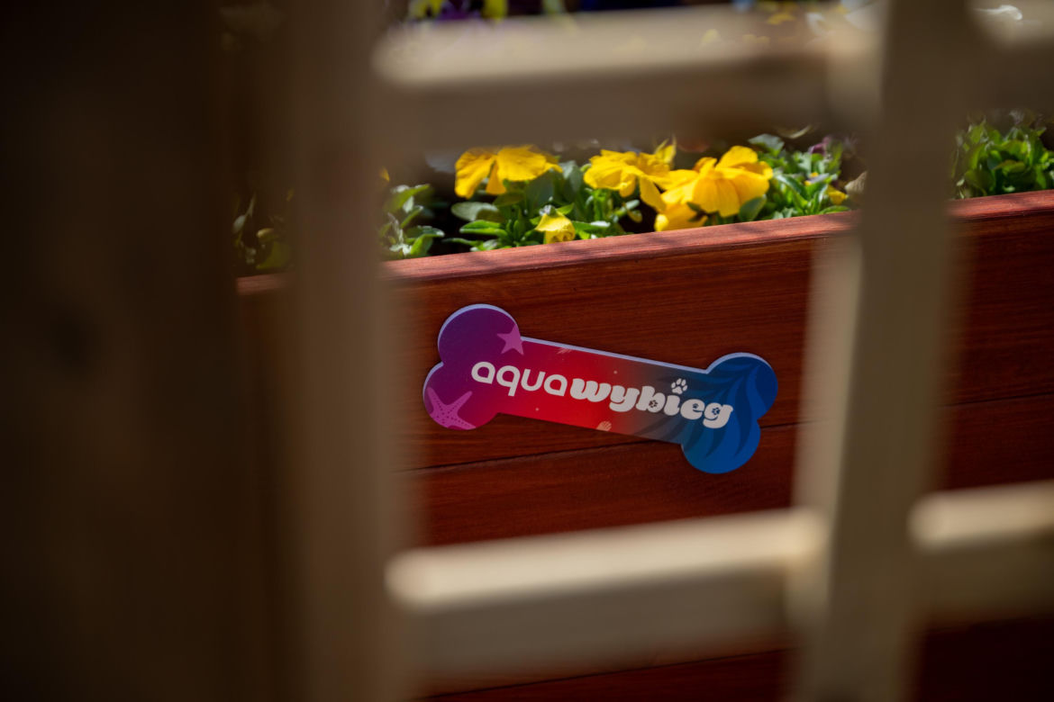 WrocŁapka i Aqua-Wybieg dla psów we Wrocławiu