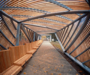 Park Miejski Starachowice