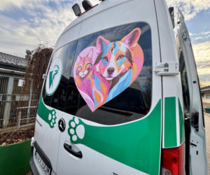 Karetka weterynaryjna