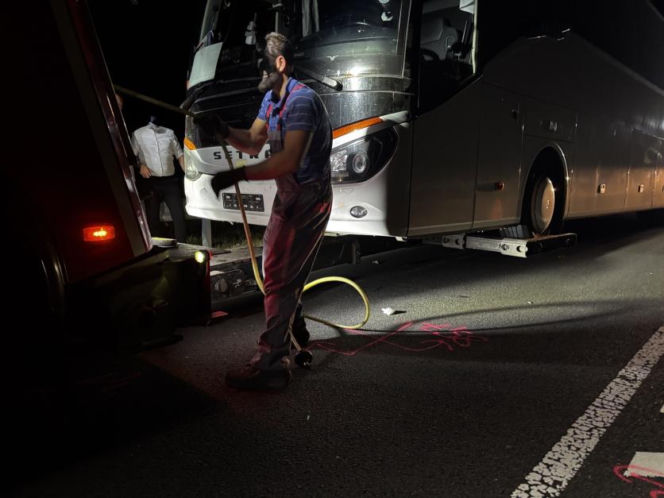 Autobus z pielgrzymami zderzył się z owcą, a gdy zatrzymał się na drodze, w jego tył uderzyła nadjeżdżająca ciężarówka