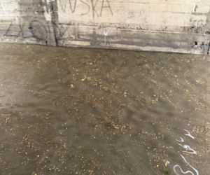 Basen w tunelu w Brwinowie. Opłakane skutki nawałnicy pod Warszawą