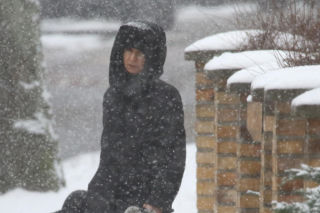 Marta Kaczyńska z synem i psami na sankach w lesie