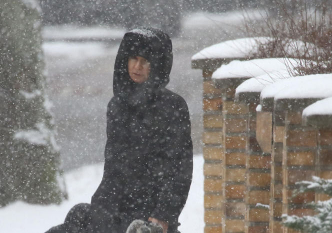 Marta Kaczyńska z synem i psami na sankach w lesie