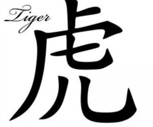 Tygrys